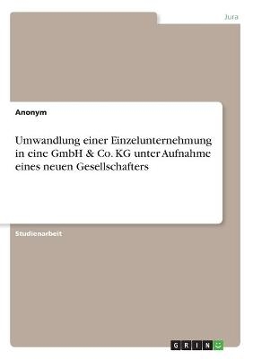Umwandlung einer Einzelunternehmung in eine GmbH & Co. KG unter Aufnahme eines neuen Gesellschafters