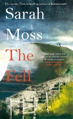 The Fell - Sarah Moss