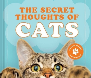 The Secret Thoughts of Cats