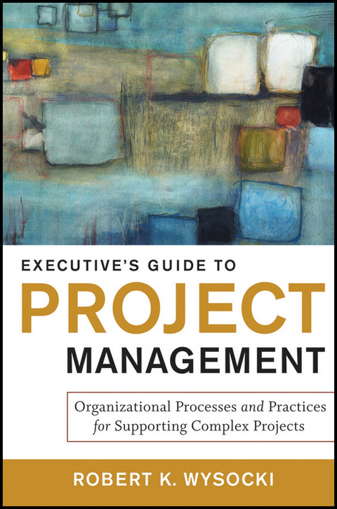 Executive's Guide to Project Management - Robert K. Wysocki