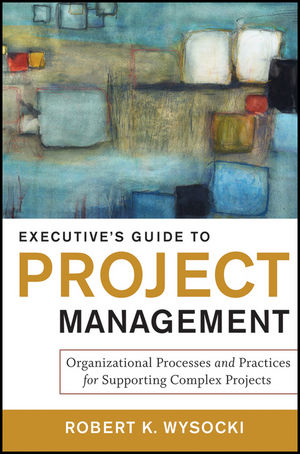 Executive's Guide to Project Management