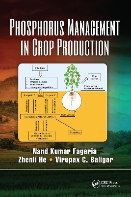 Phosphorus Management in Crop Production
