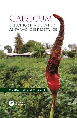 Capsicum - Orarat Mongkolporn