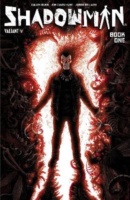 Shadowman Book 1 - Cullen Bunn