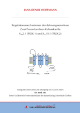 Regulationsmechanismen der dehnungssensitiven Zwei-Porendom&auml;nen Kaliumkan&auml;le K2P2.1 (TREK-1) und K2P10.1 (TREK-2) - Jana Denise Hoffmann
