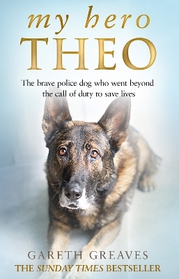 My Hero Theo - Gareth Greaves