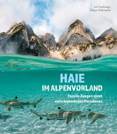 Haie im Alpenvorland - Iris Feichtinger, J&uuml;rgen Pollersp&ouml;ck