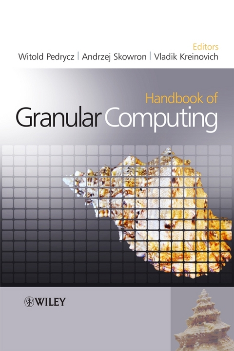 Handbook of Granular Computing - 