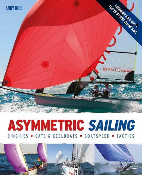 Asymmetric Sailing -  Andy Rice