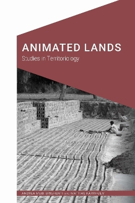 Animated Lands - Andrea Mubi Brighenti, Mattias Karrholm