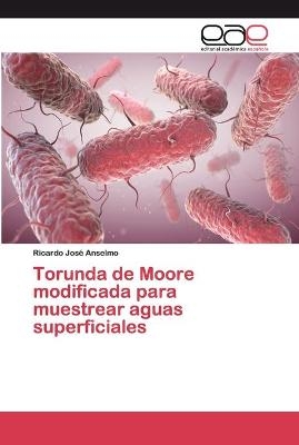 Torunda de Moore modificada para muestrear aguas superficiales - Ricardo Jos&eacute; Anselmo