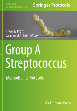 Group A Streptococcus