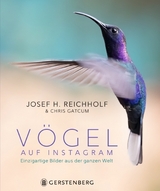 V&ouml;gel auf Instagram - 