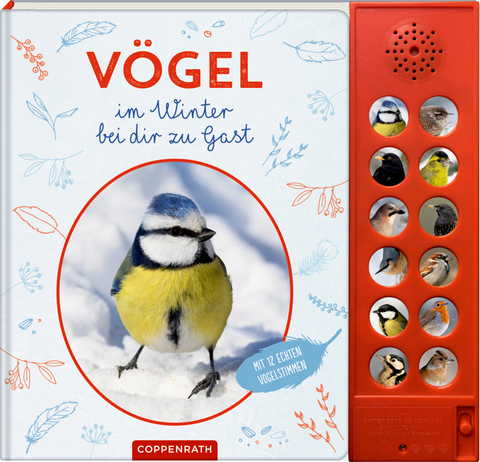 V&ouml;gel im Winter bei dir zu Gast - B&auml;rbel Oftring