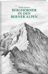Bergh&ouml;rner in den Berner Alpen - Martin Mostosi