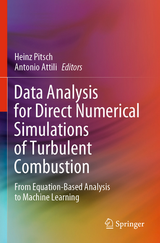 Data Analysis for Direct Numerical Simulations of Turbulent Combustion