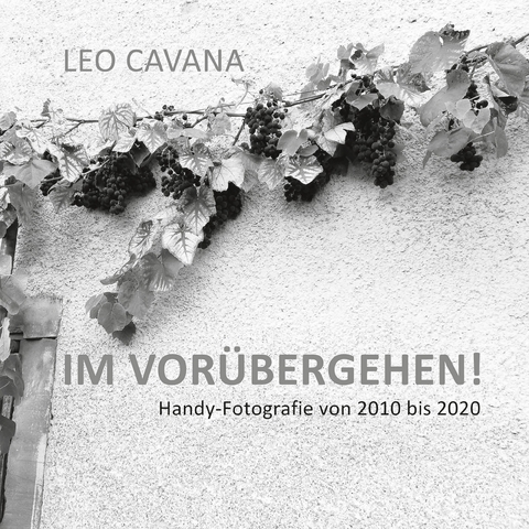 Im Vor&uuml;bergehen - Leo Cavana