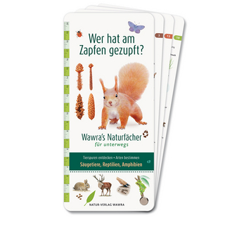 Wer hat am Zapfen gezupft? – Wawra's Naturfächer für unterwegs