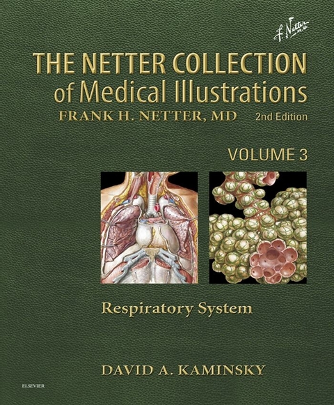 Netter Collection of Medical Illustrations: Respiratory System E-Book -  David A. Kaminsky