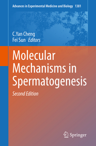 Molecular Mechanisms in Spermatogenesis