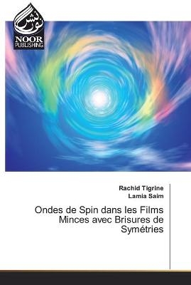 Ondes de Spin dans les Films Minces avec Brisures de Symétries