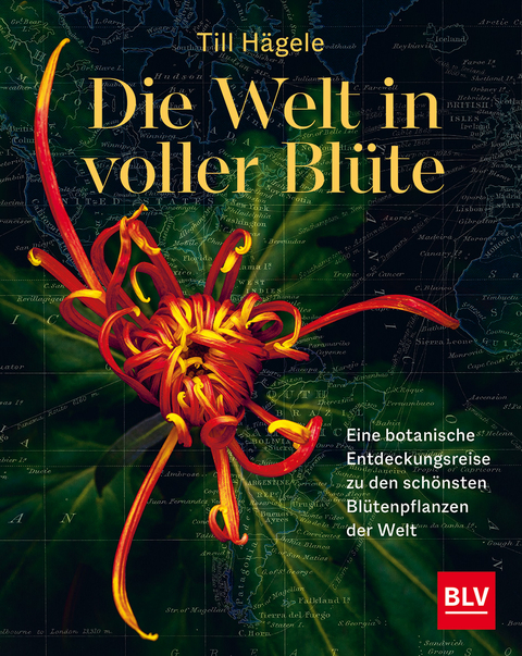 Die Welt in voller Bl&uuml;te - Till H&auml;gele