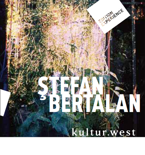 Stefan Bertalan. Visuelle Strukturen 1960-2000 - Doina Talmann