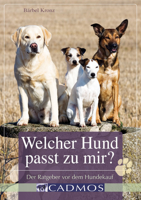 Welcher Hund passt zu mir? - B&auml;rbel Kronz
