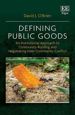 Defining Public Goods - David J. O&rsquo;Brien