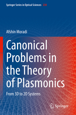 Canonical Problems in the Theory of Plasmonics