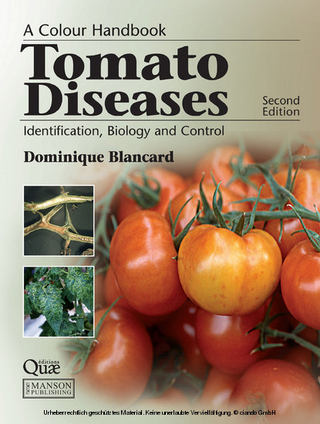 Tomato Diseases