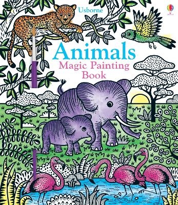 Animals Magic Painting Book - Sam Taplin