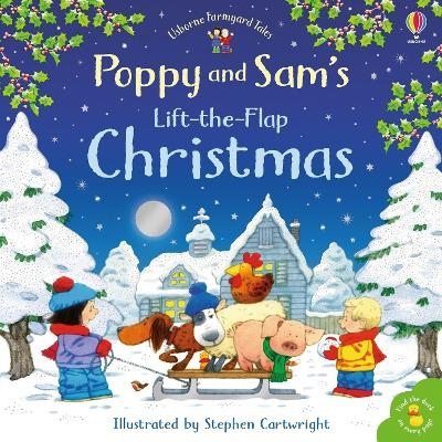 Poppy and Sam's Lift-the-Flap Christmas - Heather Amery, Sam Taplin