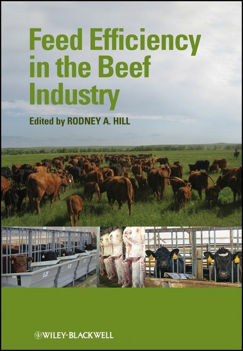 Feed Efficiency in the Beef Industry - 
