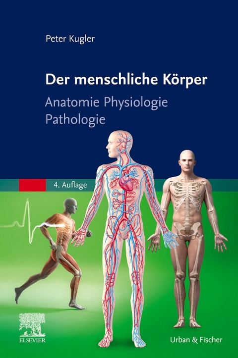 Der menschliche K&ouml;rper - Peter Kugler