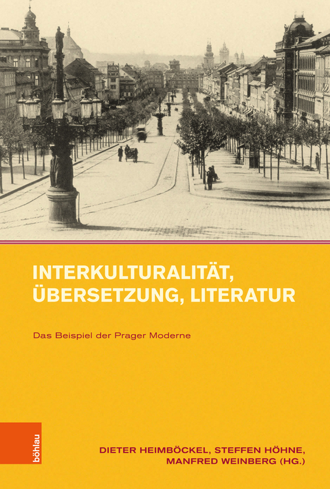 Interkulturalit&auml;t, &Uuml;bersetzung, Literatur - 