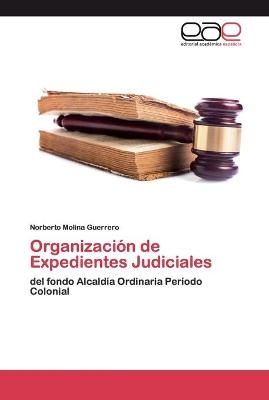 Organización de Expedientes Judiciales