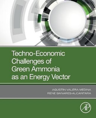 Techno-Economic Challenges of Green Ammonia as an Energy Vector