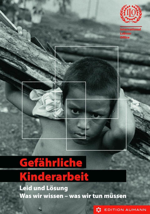 Gef&auml;hrliche Kinderarbeit - Leid und L&ouml;sung - 
