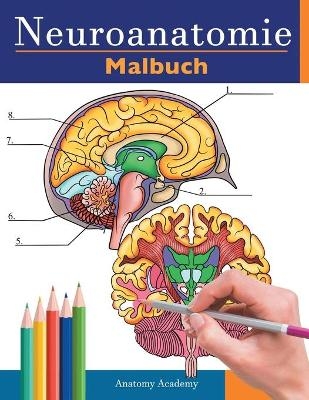 Neuroanatomie Malbuch