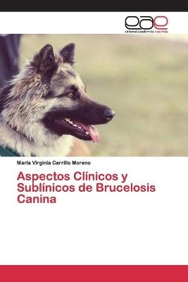 Aspectos Cl&iacute;nicos y Subl&iacute;nicos de Brucelosis Canina - Mar&iacute;a Virginia Carrillo Moreno