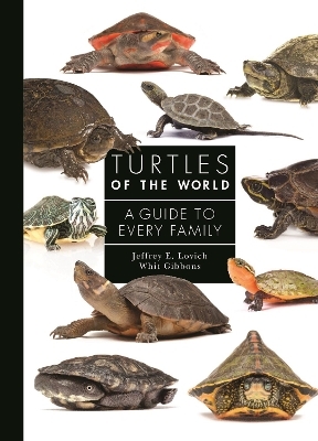 Turtles of the World - Jeffrey Lovich, Dr. Whit Gibbons
