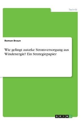 Wie gelingt autarke Stromversorgung aus Windenergie? Ein Strategiepapier - Roman Braun