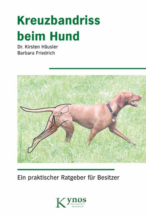 Kreuzbandriss beim Hund - Kirsten Dr. H&auml;usler, Barbara Friedrich