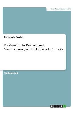 Kindeswohl in Deutschland. Voraussetzungen und die aktuelle Situation - Christoph Opalka