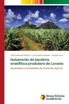 Isolamento de bactéria endofítica produtora de Levana