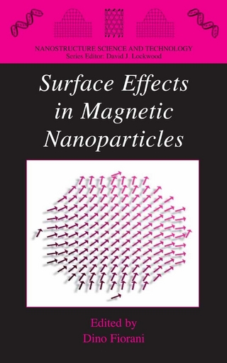 Surface Effects in Magnetic Nanoparticles