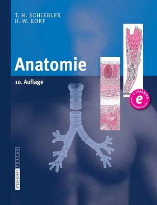 Anatomie
