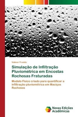 Simula&ccedil;&atilde;o de Infiltra&ccedil;&atilde;o Pluviom&eacute;trica em Encostas Rochosas Fraturadas - Valmor Freddo