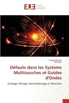 D&eacute;fauts dans les Systems Multicouches et Guides d'Ondes - Youssef Ben-Ali, Driss Bria